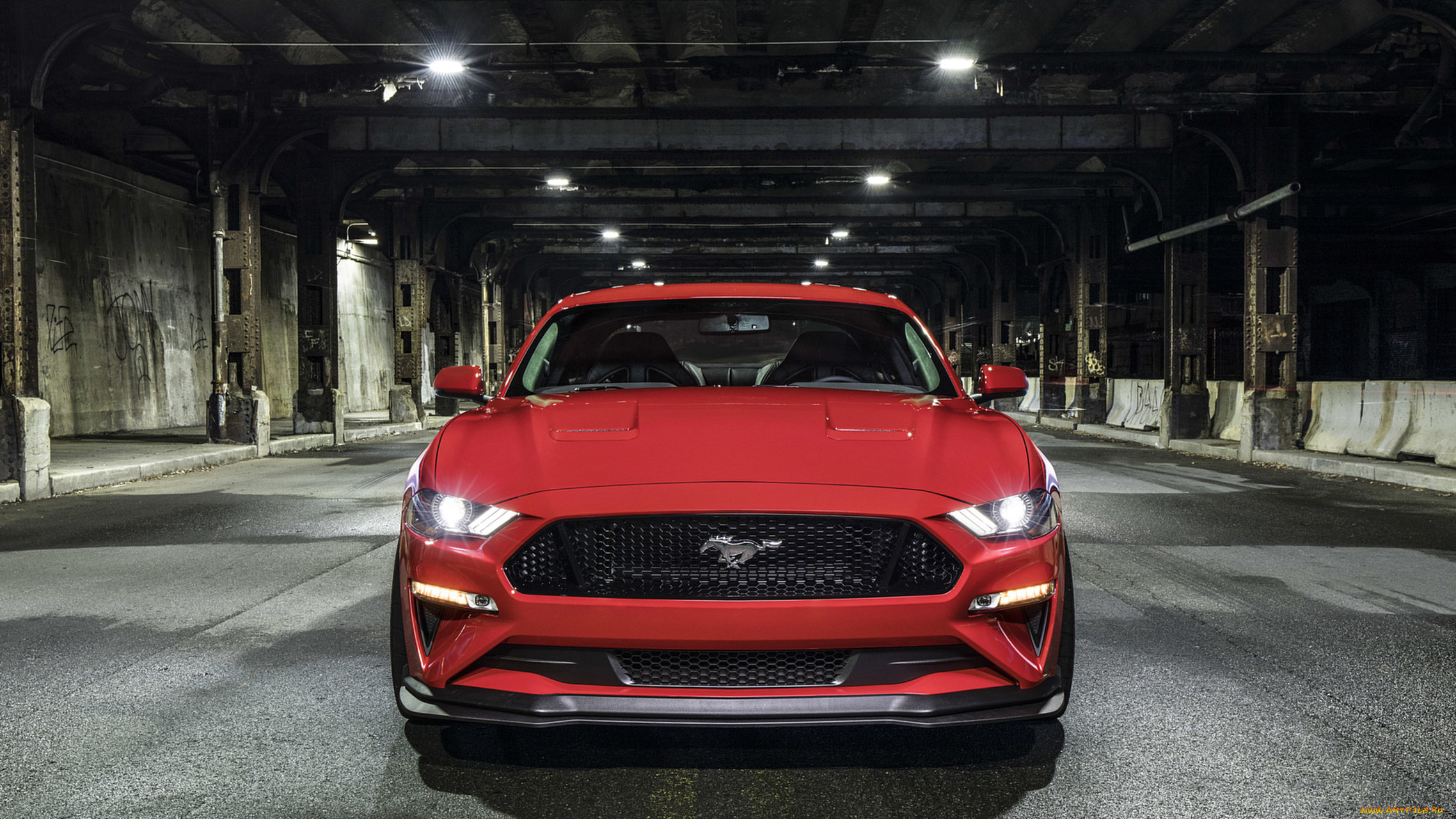 ford mustang gt performance pack level-2 2018, , mustang, ford, 2018, level-2, pack, performance, gt